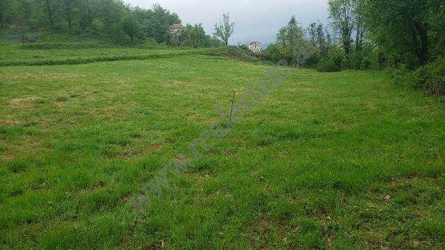 Toke per shitje prane fshatit Ibe ne Tirane